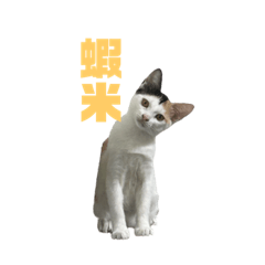 三筒與七萬