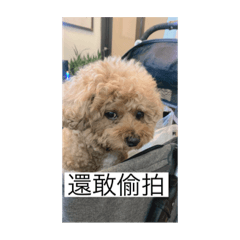 拿歐米