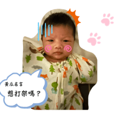 小黃瓜2.0