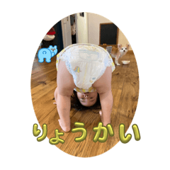 sayuri_20230913133151