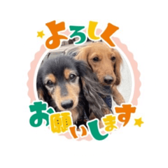 Hana_20230913141522