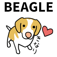 I love Beagle.