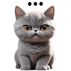 Cat Grey TuaTueng