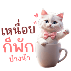 แมวขาวน่านัก ส่งกำลังใจ