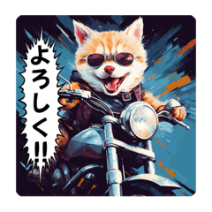I love motorcycles! Cat Rider!