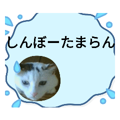 ranz_20230913162818
