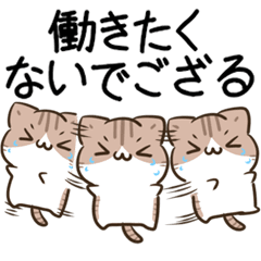 moving unmotivated cat Sticker every day