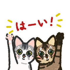 Brown cat and gray cat animation sticker