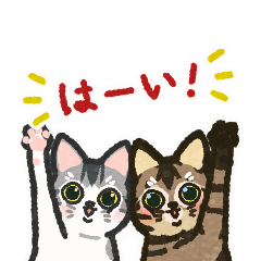 Brown cat and gray cat animation sticker