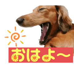 Marison_20230913230104