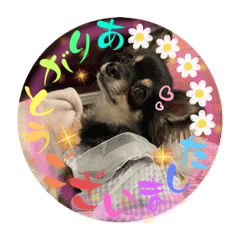 KAYO_20230913231210