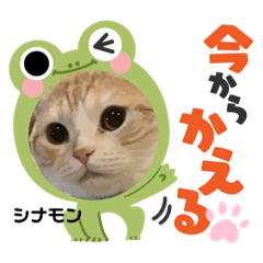 aikobunny_20230914123953