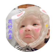 小寶的日常照片