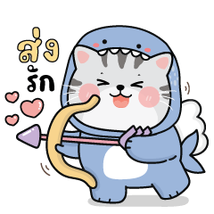Cat Chubby Cute 12 : Cat Shark