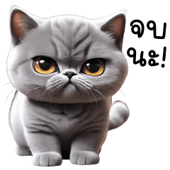 Cat Grey TuaTueng (mini)