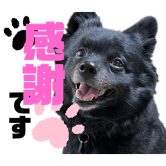 yuka_20230914150941