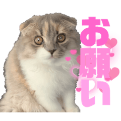 yuka_20230914164616