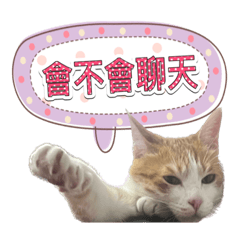 波妞生活貼圖