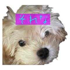 himetuki_20230914185702