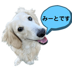 nao_20230914200852