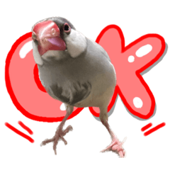 Natsumi_20230915073138