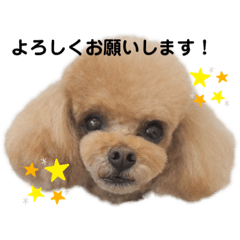 ARISA_20230914222942