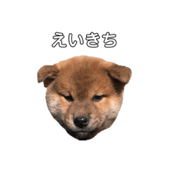 tanaka_20230914230720