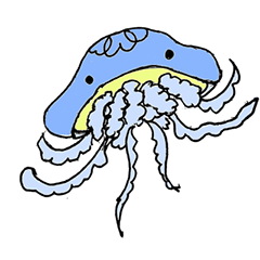 jellyfish_matchi