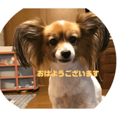 Nao_20230914234017