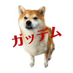 kana_20230915140348