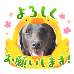 Arisa_20230915001737