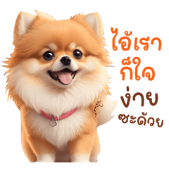 Cute little dog, popular sayings