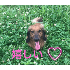 Megumi_20230915144336