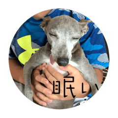 EINYAN_20230915162911