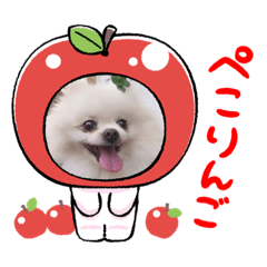 chisa_20230915170711