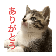 Yuka_20230915202732