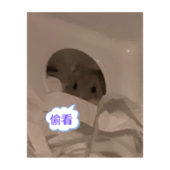 主題是倉鼠