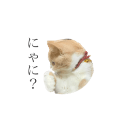 Hana_20230915215637