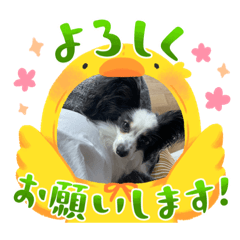 Mikiko_20230915230605