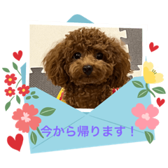 AOI_20230915225540