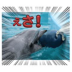 zoom in_20230916001605