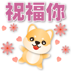 Cute Shiba- Practical greeting stickers