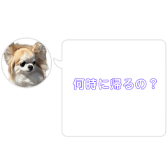 sakura_20230915235526