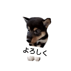 wasami_20230916091940