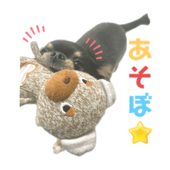 harchan_20230916113350