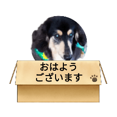 KUMA_20230916