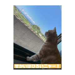 TANIYAMA_20230916131217