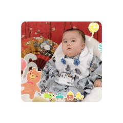 sakura_20230916062718