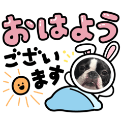 suzu_20230916003625