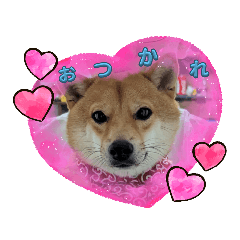 yuuko_20230916110913